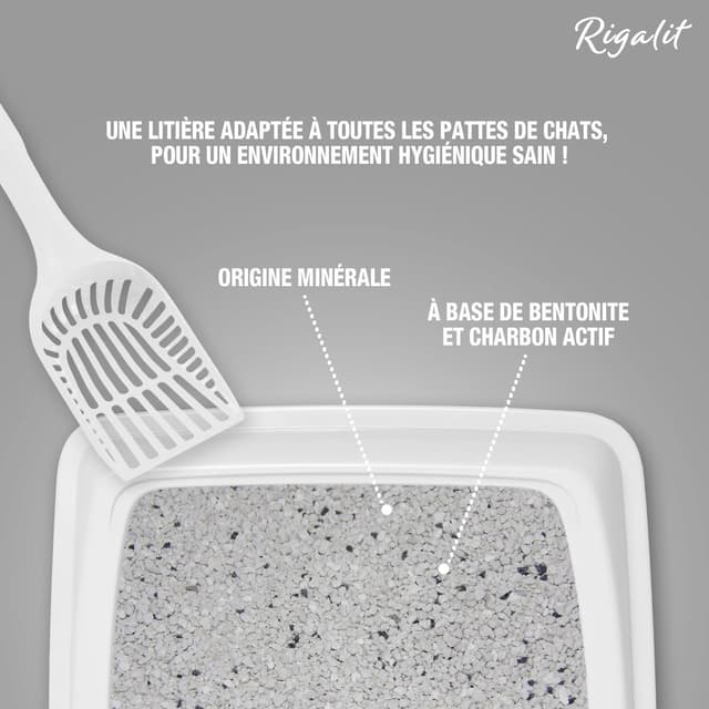 3166780060188 - Riga Rigalit - Litière Minérale Agglomérante bentonite Odor Control pour chat 4,2kg