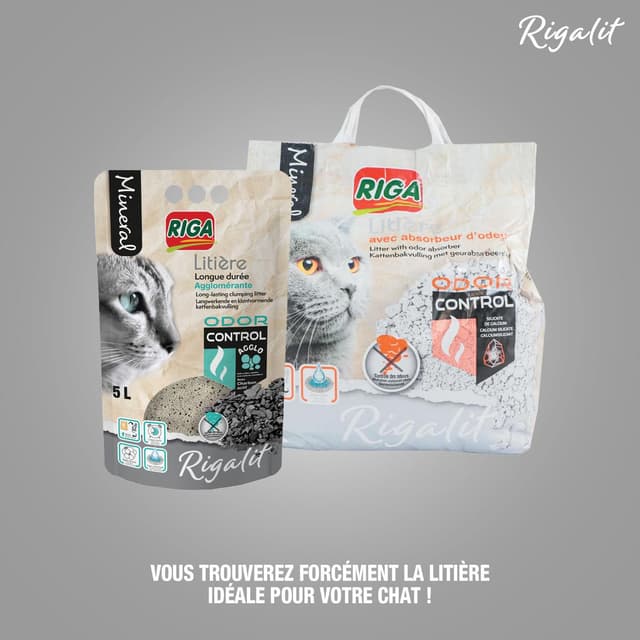 3166780060188 - Riga Rigalit - Litière Minérale Agglomérante bentonite Odor Control pour chat 4,2kg