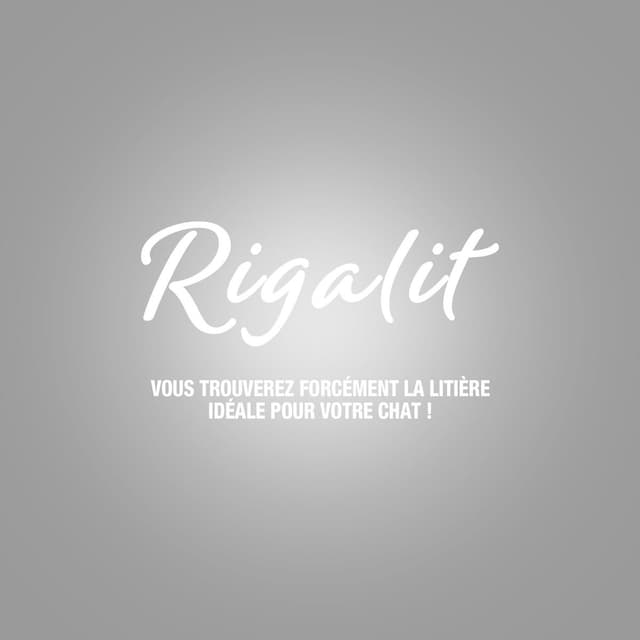 3166780060188 - Riga Rigalit - Litière Minérale Agglomérante bentonite Odor Control pour chat 4,2kg