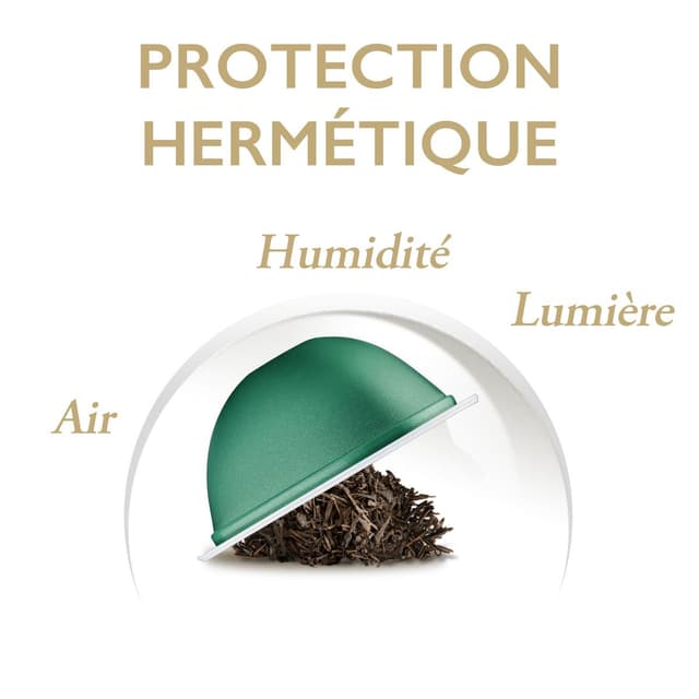 7613035408289 - Special T By Nestle - Thé intense mint