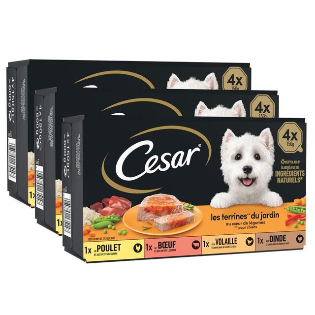 2050000395390 - César - Barquettes Terrines du Jardin Coeur de Légumes 4 variétés pour Chien Adulte