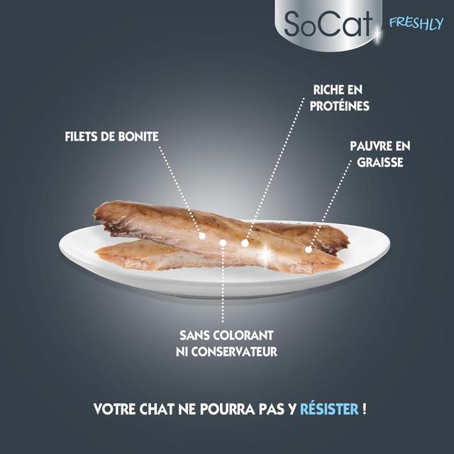3166780061291 - Riga Socat - Filets de Thon Freshly - Friandise pour chat