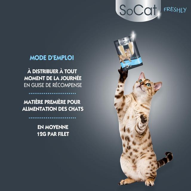3166780061291 - Riga Socat - Filets de Thon Freshly - Friandise pour chat