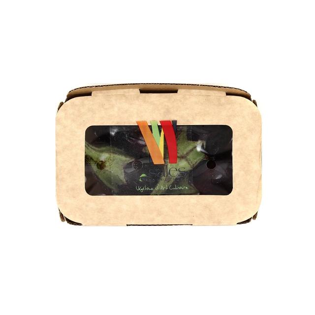 6009665700083 -  - Mini aubergine 