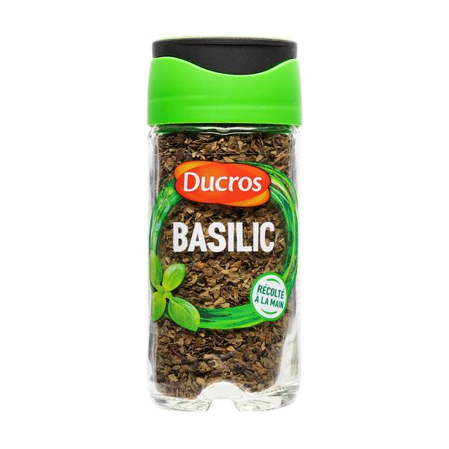 3166296203093 - Ducros - Basilic