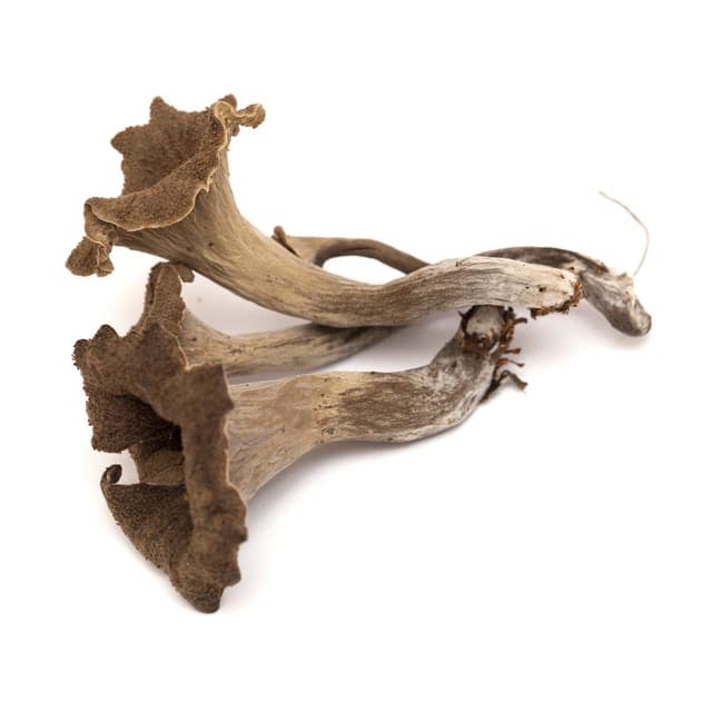 2050000335693 -  - Champignon Trompette de la Mort