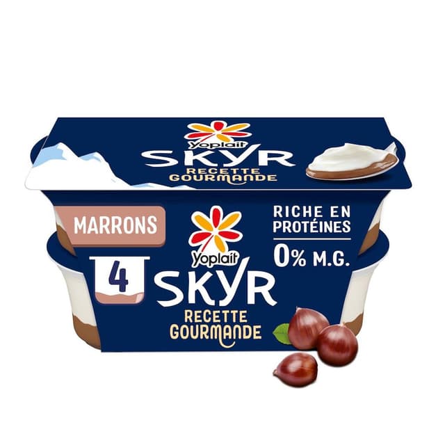3329770089495 - Yoplait - Skyr marron 0%mg