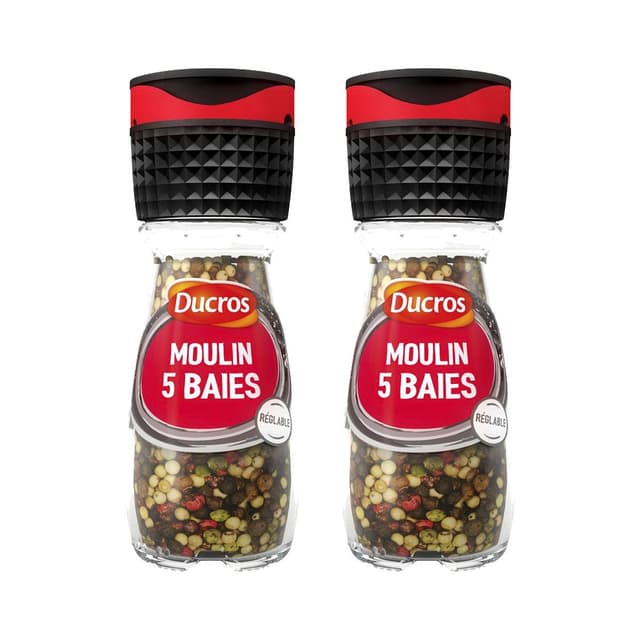 2050000417696 - Ducros - Moulin 5 baies n°5 Doux