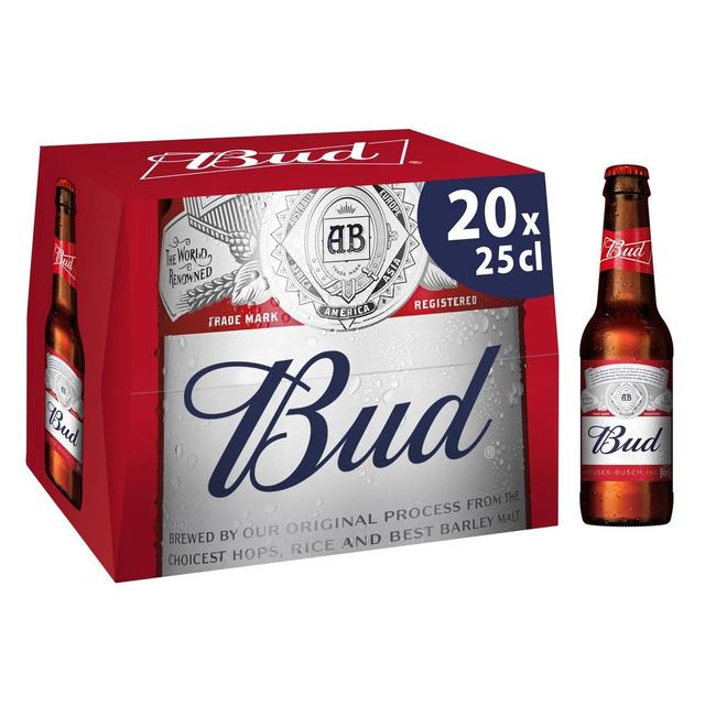 5410228258896 - Bud - Bière blonde 5°