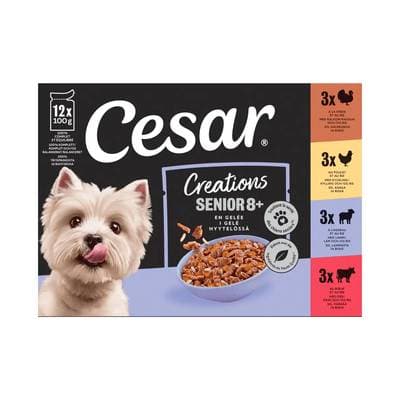 Cesar Sachets en gelée multivariétés pour chien senior, 12x100g