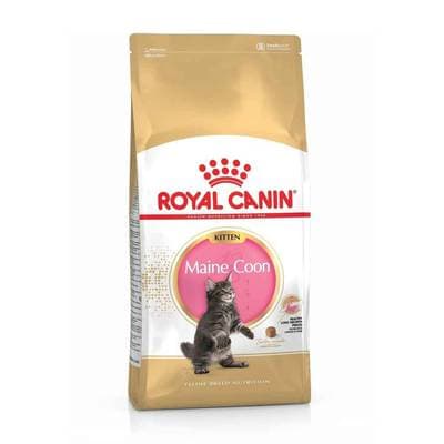 3182550816502 - Royal Canin - Croquettes Maine Coon Kitten pour Chaton