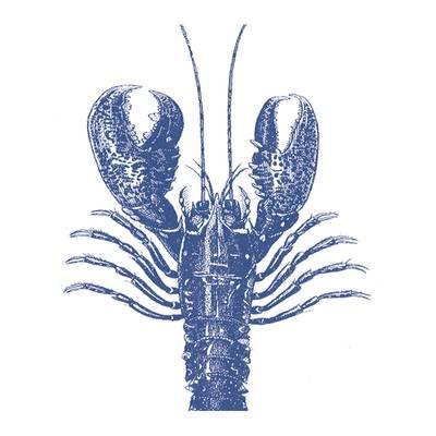 4021766176804 - Paperproducts Design - Serviettes en papiers Lobster marine