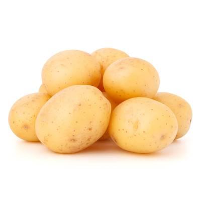  - Pomme de Terre Agata