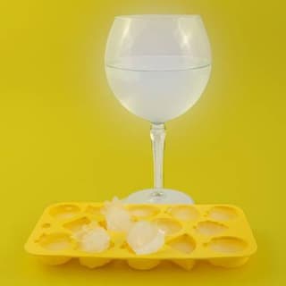 Dotz Moule à glaçons en silicone platine fruit d'été, 21x11x2cm
