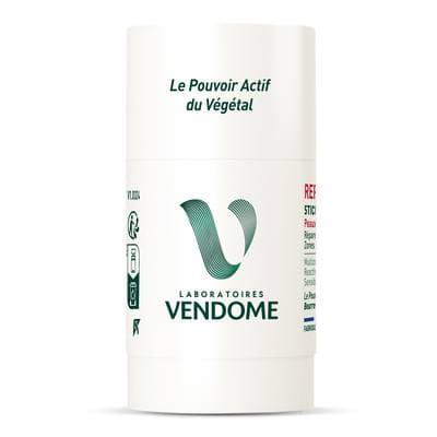 Laboratoires Vendôme Stick Multizones REPAR V+, 50g