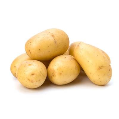 Pomme de Terre Agria