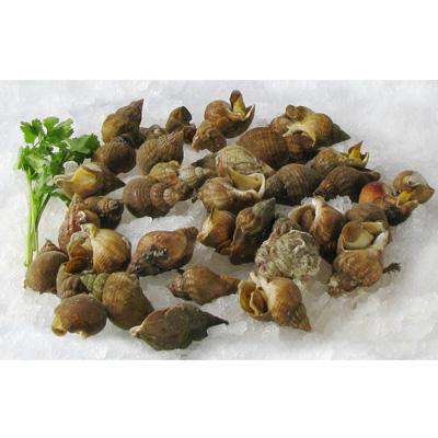 3760123022507 -  - Bulots cuits
