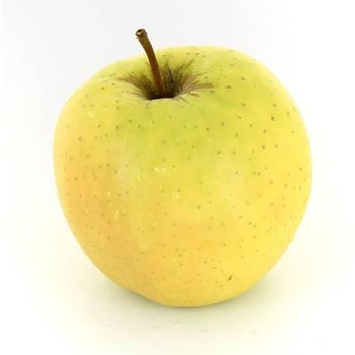 2050000385407 -  - Pomme Golden 