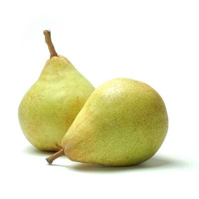 Thomas Le Prince Poire Comice