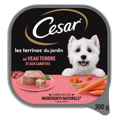 César Barquette Terrine du Jardin Veau et Carottes pour chien adulte, 300g