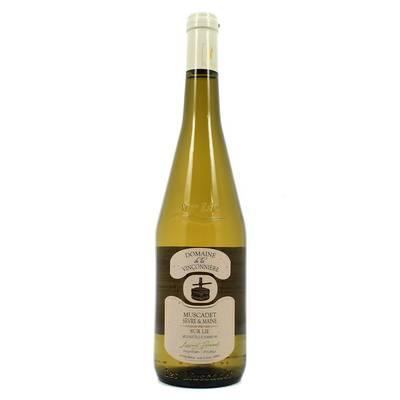 Muscadet S/M sur lie AOC - Domaine Vinconnerie, Sèvres et Maine