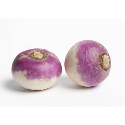 Les Paysans Bio - Navet Violet Bio
