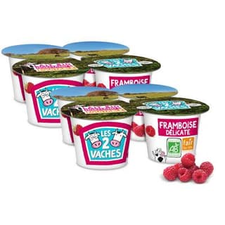 Les 2 Vaches Yaourts Bio framboise, Lot de 2 - 4x115g