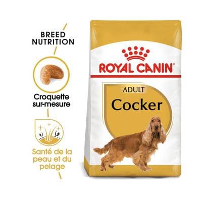Royal Canin Croquettes sur mesure Santé de la Peau et du Pelage pour Chien Cocker Adulte, 3kg