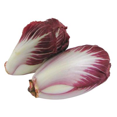 2050000231810 -  - Endive Carmine