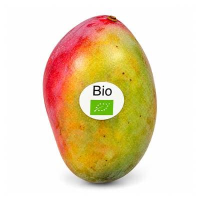 Prodiva  Mangue Bio, 1 fruit