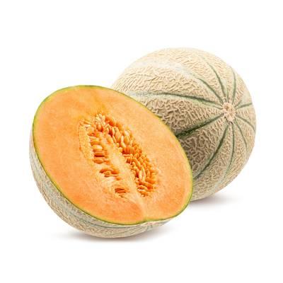  - Melon charantais