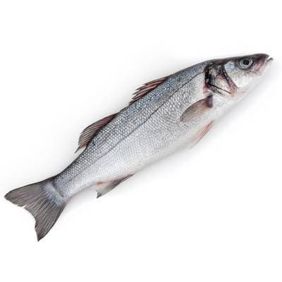 Transgourmet Seafood Bar entier, 300g