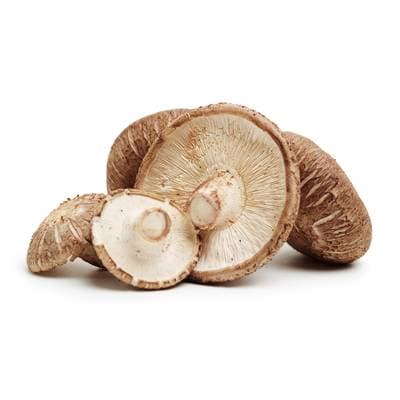 Champignon Shiitake