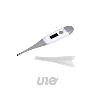 BEBE DOUCEUR Thermomètre À Lecture Digitale bébé 13cm Gris, 1 pièce