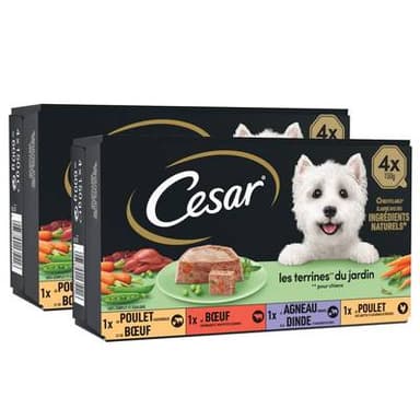 César Barquettes Terrines du Jardin 4 variétés pour chien adulte, Lot de 2 - 4x150g