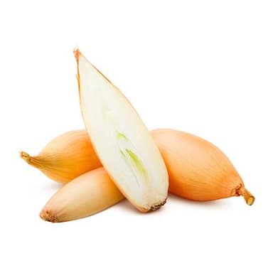 Les Paysans Bio Échalote Bio, Filet de 250g