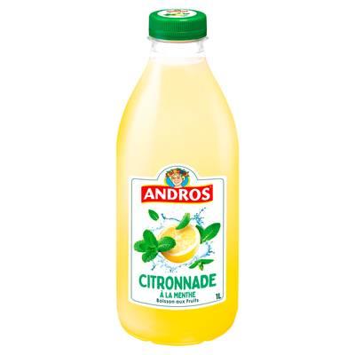 Andros - Citronnade à la Menthe