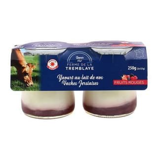 La Ferme de la Tremblaye Yaourt fermier Fruits rouges au lait de vache Jersiaise, 2x125g