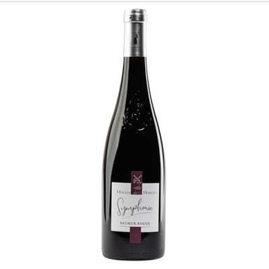 Saumur Rouge AOP Moulin de l'Horizon, 75cl