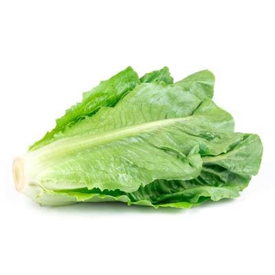 Salade Romaine, Sachet de 2 Pièces