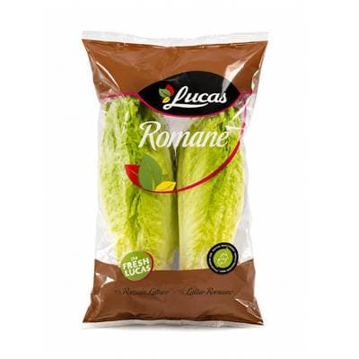 3411060006029 -  - Salade Romaine