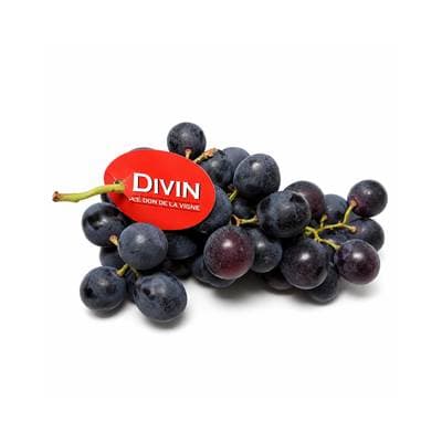 Divin Raisin Noir Paglieri