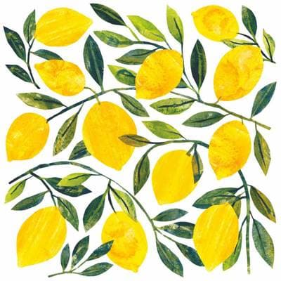 Paperproducts Design Serviette papier Tracey´s Citronella, 20 serviettes de 33 x 33 cm