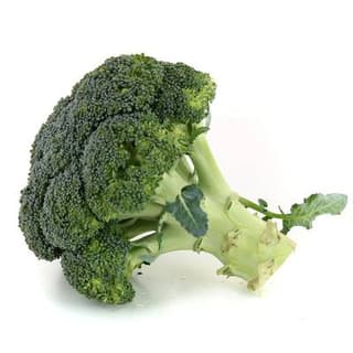 Prodiva  Brocoli Bio, Barquette de 500g