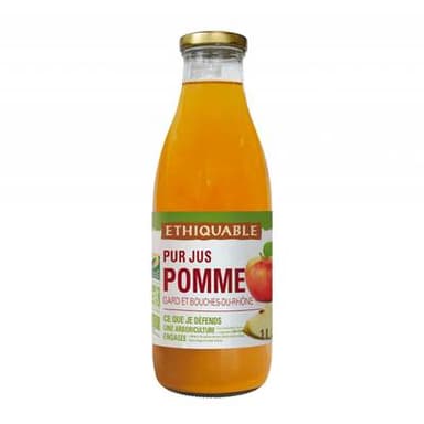 Ethiquable - Commerce Equitable Pur jus de pomme Variété Rustique Bio, 1L