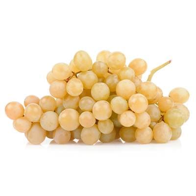 Raisin Blanc Chasselas AOP
