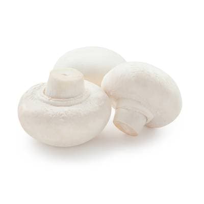 Champignon Blanc Bio, Barquette de 250g