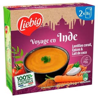 Liebig Voyage en Inde- Lentilles Corail, Epices et Lait de Coco Soupe liquide en brique individuelle, 2x30cl