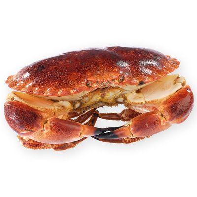 5390129111004 -  - Tourteau cuit sauvage