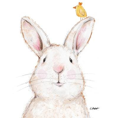 Paperproducts Design Serviettes en papier Lapin & Friend, 20 serviettes de 33x33 cm